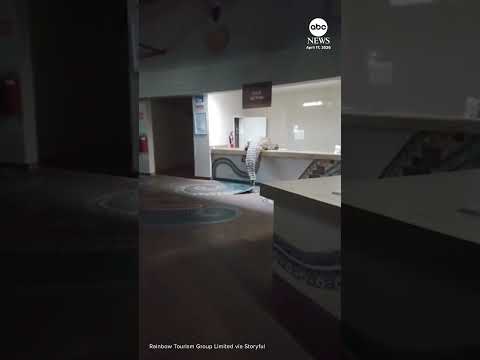 Read more about the article Crocodile caught on camera climbing into hotel kitchen in Zimbabwe