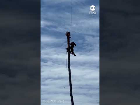 You are currently viewing Worker rescued after suffering medical emergency while trimming palm tree