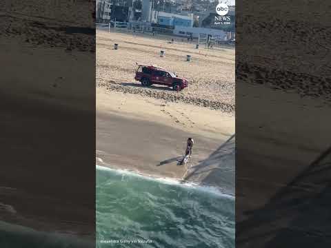 Read more about the article Man risks life and limb to rescue shark caught on fishing line