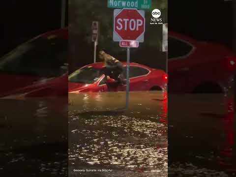 You are currently viewing Driver climbs out car window to escape Fort Worth flooding