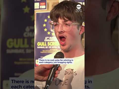 Read more about the article Squakers face off at annual seagull screeching contest
