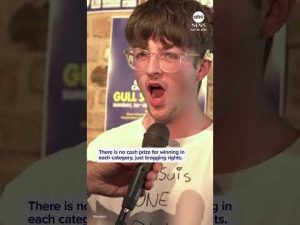 Read more about the article Squawk-off at annual seagull screeching contest in Belgium