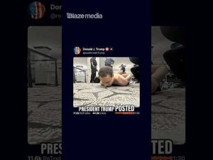 Read more about the article How Trump REACTED to WHCD Shooter