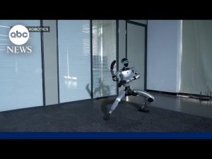 Read more about the article Humanoid robots at center of U.S.-China competition