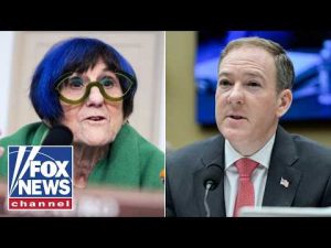 Read more about the article ‘DOESN’T HAVE ANY IDEA’: Zeldin unpacks HEATED exchange with Dem lawmaker