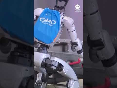 Read more about the article Japanese airport trials robot baggage handler