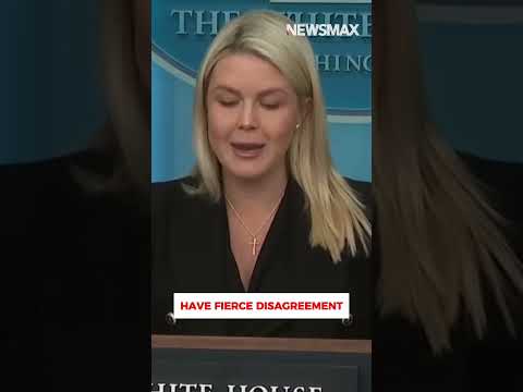 Read more about the article Message on ‘equal force’ after Correspondents’ Dinner debacle: Carl Higbie