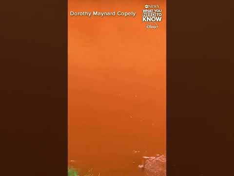 Read more about the article Bright orange water spotted in a West Virginia stream