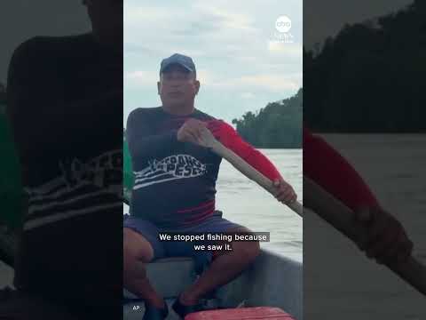 Read more about the article Plan to cull hippos linked to Pablo Escobar divides opinion in Colombia