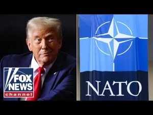 Read more about the article ‘COMPLETELY WRONG’: Trump WARNED over potential NATO exit
