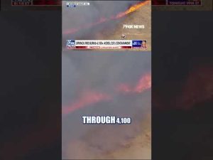 Read more about the article NEW: California wildfire triggers mandatory evacuations #foxnews #news #shorts #wildlife #weather