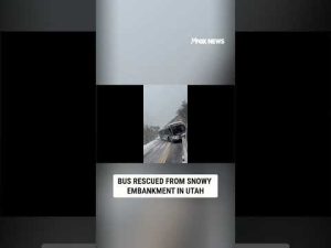 Read more about the article Bus rescued from snowy embankment