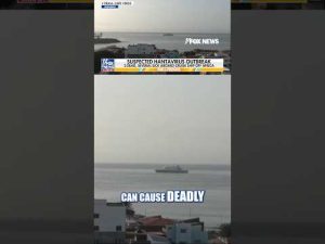 Read more about the article Possible Hantavirus outbreak kills at least 3 on cruise ship #shorts #foxnews #world #news