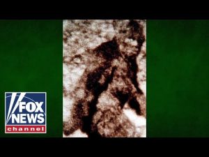 Read more about the article Bigfoot eyewitness reveals HOTSPOT for sightings as eerie howls, footprints reported