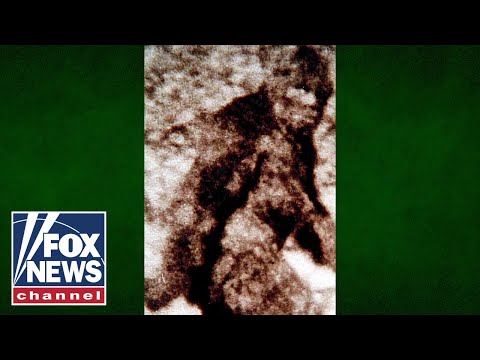 Read more about the article Bigfoot eyewitness reveals HOTSPOT for sightings as eerie howls, footprints reported