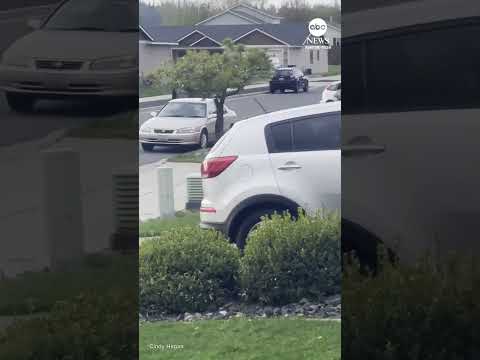 You are currently viewing Driver accused of trying to run over child on bike