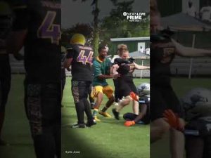 Read more about the article A Florida mother was arrested after allegedly kicking a child during a youth football game