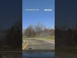 Read more about the article NEW: A driver was arrested after police chase ended with his car flying into a pond #police #short