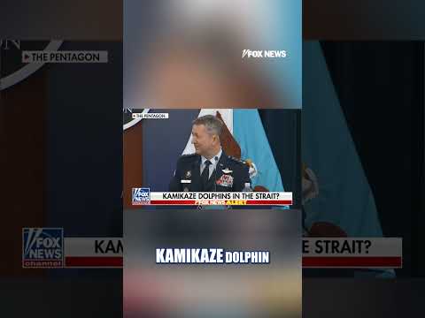 You are currently viewing Watch: Caine, Hegseth shut down Iranian ‘kamikaze dolphin’ rumor #shorts #foxnews #news #us