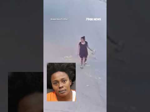 Read more about the article A disturbing attack in Florida against an innocent dog caught on camera #florida #shorts #dog
