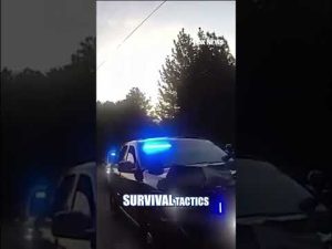 Read more about the article Manhunt underway for Special Forces vet accused of killing wife #shorts #us #news #foxnews