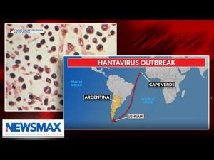 Read more about the article ‘Hantavirus is no laughing matter’: Dr. Bogoch on outbreak ravaging cruise ship
