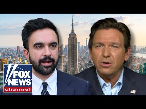 Read more about the article ‘RINSE AND REPEAT’: DeSantis DECRIES Dems as money wasters