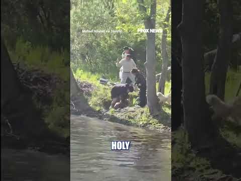 Read more about the article RABID beaver ATTACKS family at NJ lake #foxnews #news #us #fox