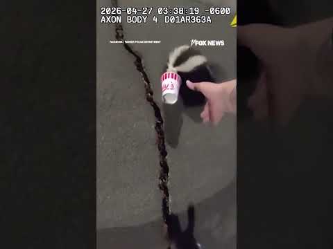 Read more about the article WATCH: A skunk, a stuck cup, and one very brave officer…