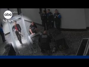 Read more about the article New video of alleged suspect in press gala shooting