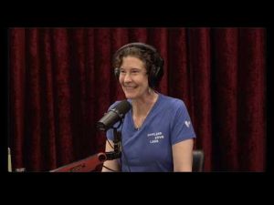 Read more about the article Joe Rogan Experience #2496 – Julia Mossbridge