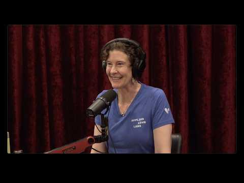 Read more about the article Joe Rogan Experience #2496 – Julia Mossbridge