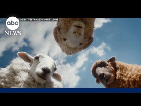 Read more about the article Entertainment buzz from viral sheep movie to celebrity headlines