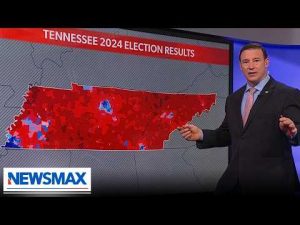 Read more about the article Carl Higbie: Even if Dems win they lose