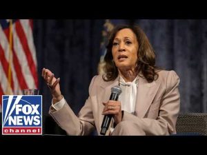 Read more about the article Kamala Harris has fallen into a kind of ‘therapeutic malaise’: Victor Davis Hanson