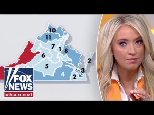 Read more about the article McEnany: Republicans are FIGHTING