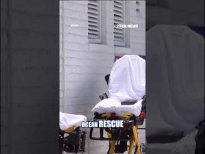 Read more about the article At least 15 injured in possible Miami boat EXPLOSION #shorts #us #news #foxnews #miami