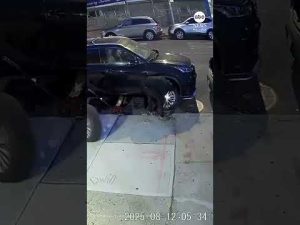 Read more about the article ‘Pit crew’ car thieves arrested following over 250 Bronx heists, investigators say