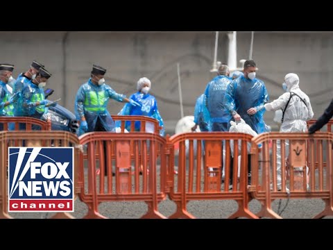 Read more about the article Top WHO official warns of ‘high-risk’ contacts on hantavirus cruise ship