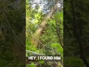 Read more about the article K-9 finds ‘missing and endangered’ 96-year-old man in woods