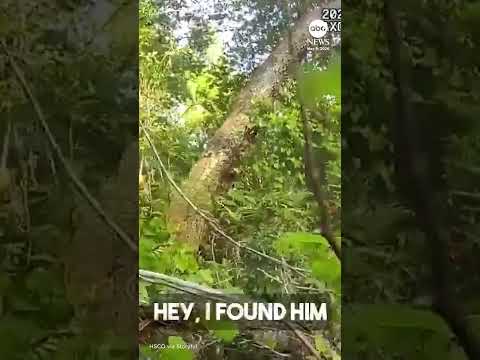 You are currently viewing K-9 finds ‘missing and endangered’ 96-year-old man in woods
