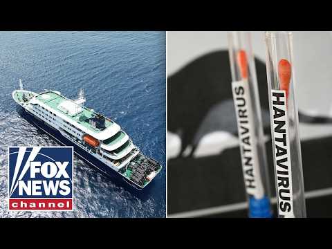 Read more about the article DETAILS: American tests positive for hantavirus, another symptomatic after cruise