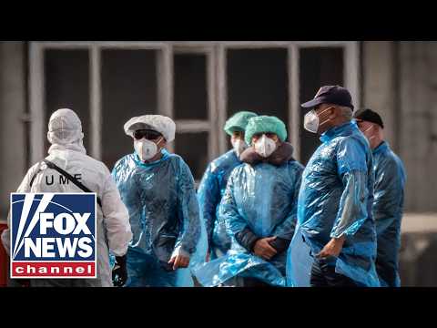 Read more about the article Officials share update as hantavirus passengers begin quarantine