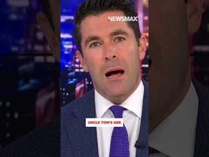 Read more about the article Watch racist Dem-media machine melt down amid redistricting battle: Rob Schmitt