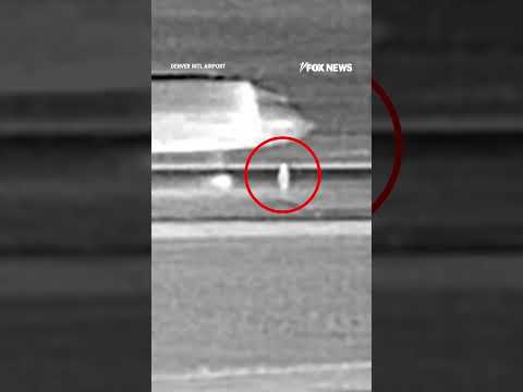 Read more about the article New video shows moment person runs onto runway at Denver International Airport #plane #shorts