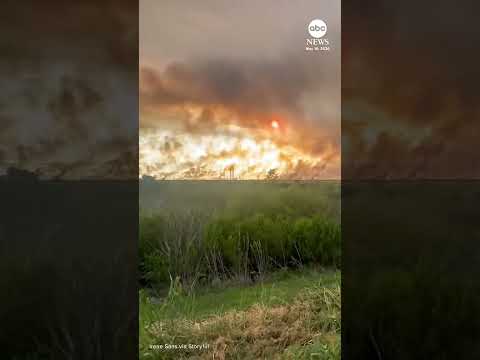 Read more about the article Huge plumes of smoke rise from Florida Everglades wildfire