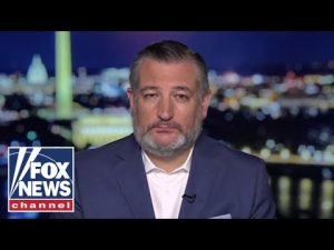 Read more about the article They are trying to LIE and DECEIVE: Sen Ted Cruz