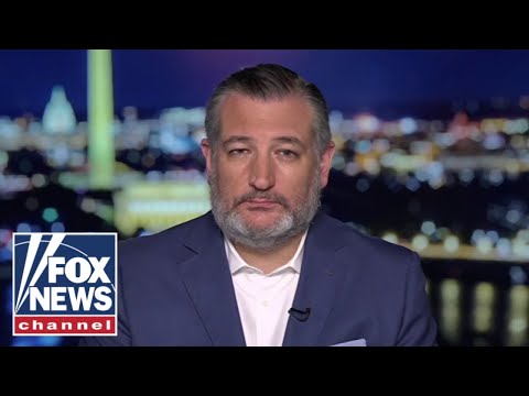 Read more about the article They are trying to LIE and DECEIVE: Sen Ted Cruz