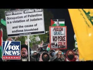 Read more about the article WATCH: Anti-Israel mob SWARMS Brooklyn synagogue