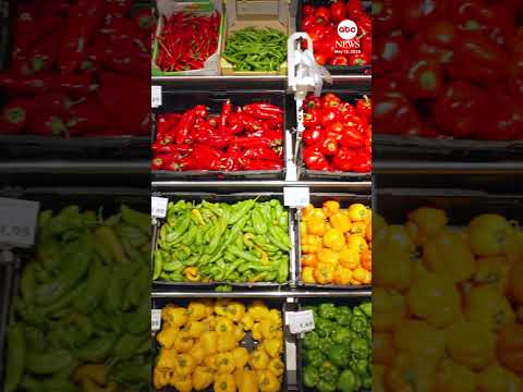 Read more about the article Is inflation up because of the war in Iran or tariffs?